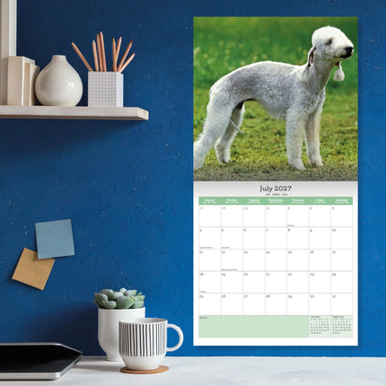 Baker & Bray Bedlington Terrier Kalender 2027