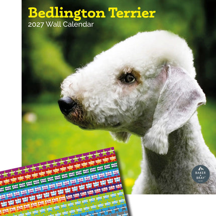 Baker & Bray Bedlington Terrier Kalender 2027