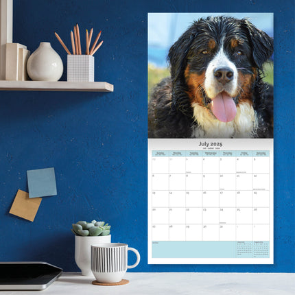 Baker & Bray Berner Sennen Kalender 2025