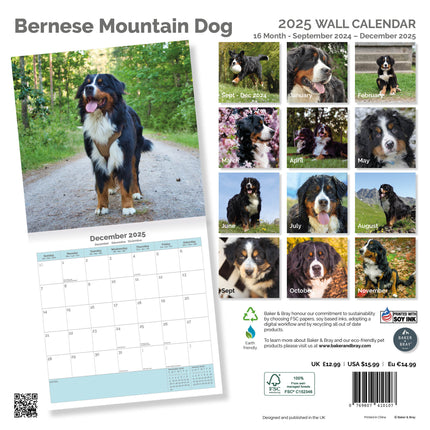Baker & Bray Berner Sennen Kalender 2025