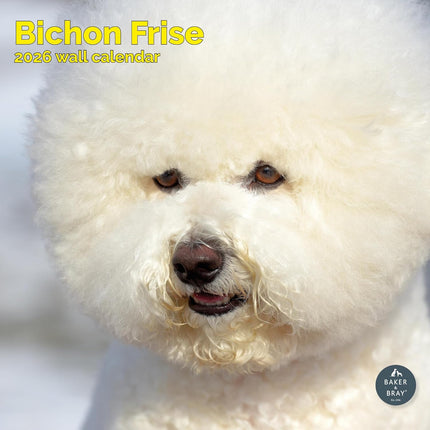 Baker & Bray Bichon Frise Kalender 2026