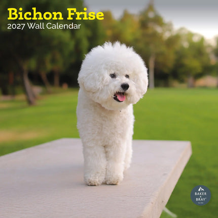 Baker & Bray Bichon Frise Kalender 2027