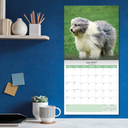 Baker & Bray Bobtail / Old English Sheepdog Kalender 2027