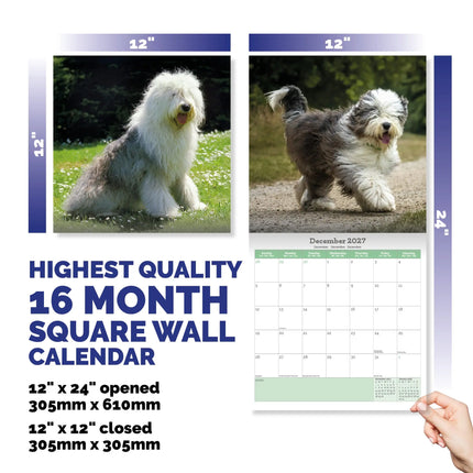 Baker & Bray Bobtail / Old English Sheepdog Kalender 2027