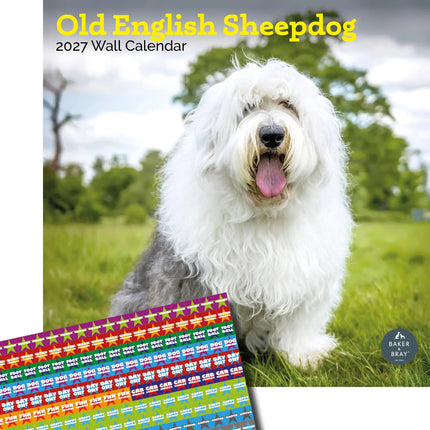Baker & Bray Bobtail / Old English Sheepdog Kalender 2027