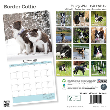 Baker & Bray Border Collie Kalender 2025