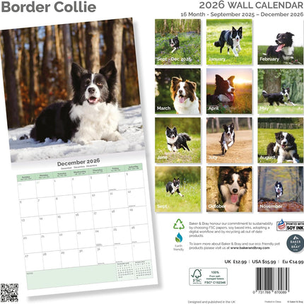 Baker & Bray Border Collie Kalender 2026