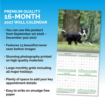 Baker & Bray Border Collie Kalender 2027