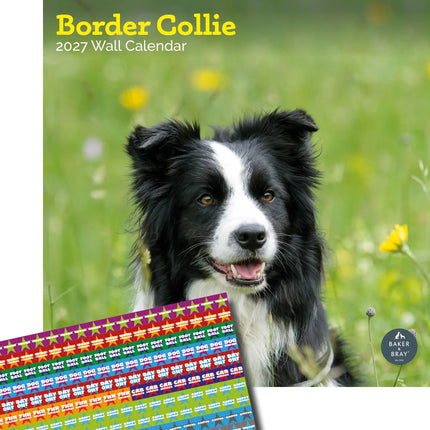 Baker & Bray Border Collie Kalender 2027