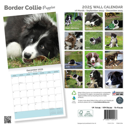 Baker & Bray Border Collie Puppies Kalender 2025