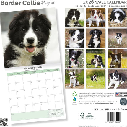 Baker & Bray Border Collie Puppies Kalender 2026