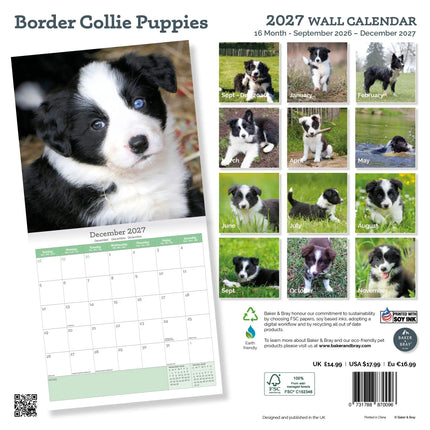 Baker & Bray Border Collie Puppies Kalender 2027