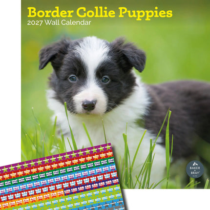 Baker & Bray Border Collie Puppies Kalender 2027