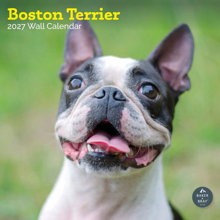 Baker & Bray Boston Terrier Kalender 2027