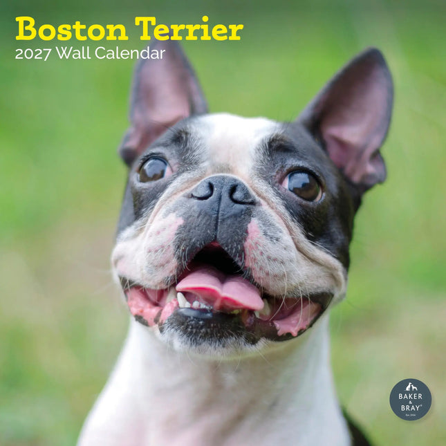 Baker & Bray Boston Terrier Kalender 2027