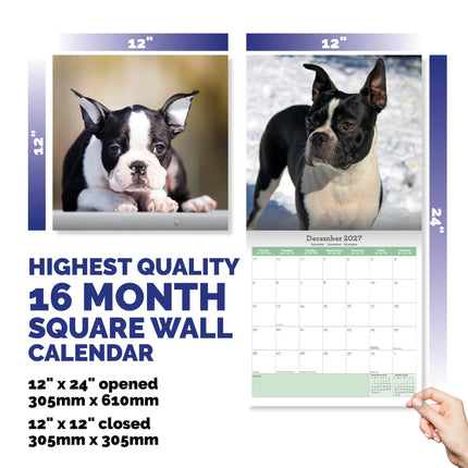 Baker & Bray Boston Terrier Kalender 2027