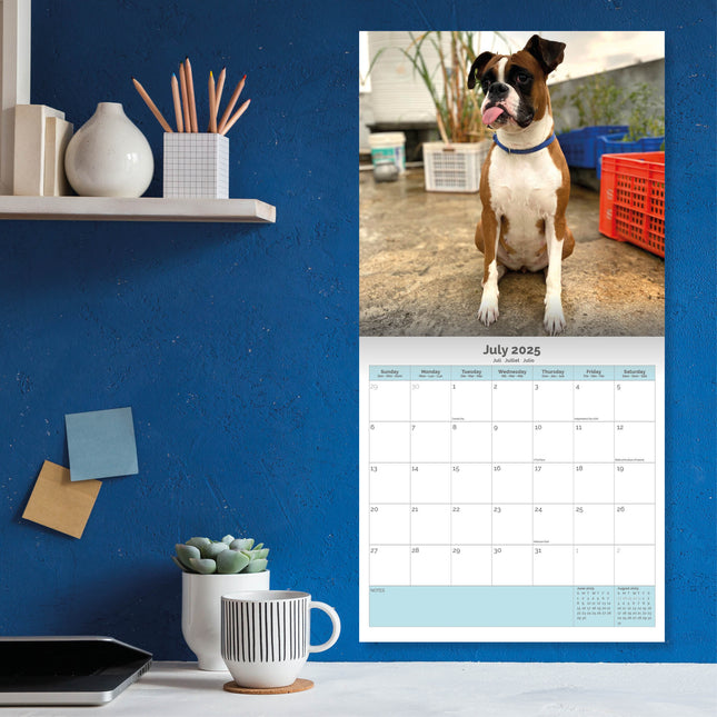 Baker & Bray Boxer Kalender 2025