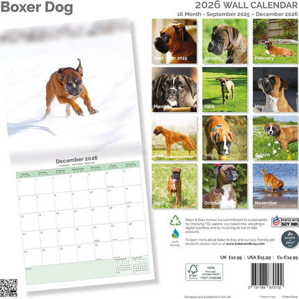 Baker & Bray Boxer Kalender 2026