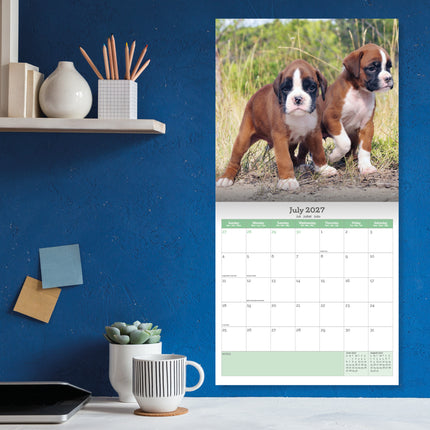 Baker & Bray Boxer Kalender 2027