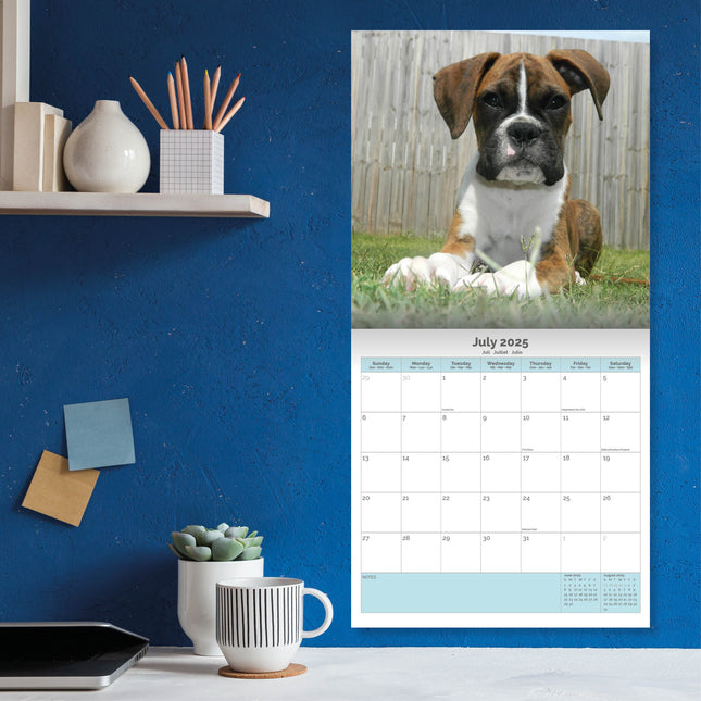 Baker & Bray Boxer Puppies Kalender 2025