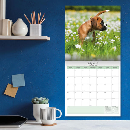 Baker & Bray Boxer Puppies Kalender 2026