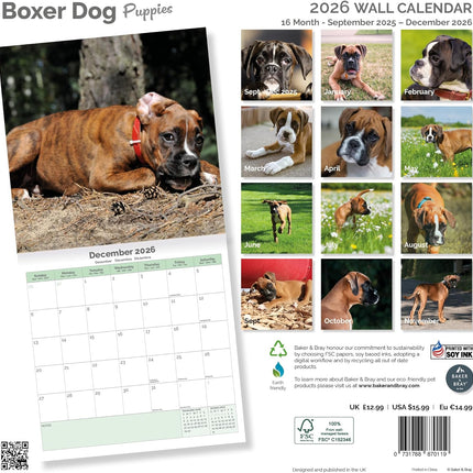 Baker & Bray Boxer Puppies Kalender 2026