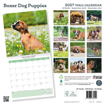 Baker & Bray Boxer Puppies Kalender 2027