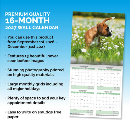 Baker & Bray Boxer Puppies Kalender 2027