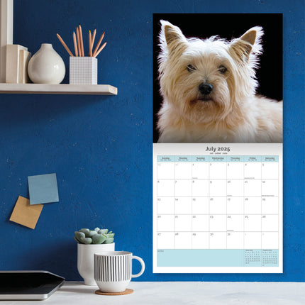 Baker & Bray Cairn Terrier Kalender 2025