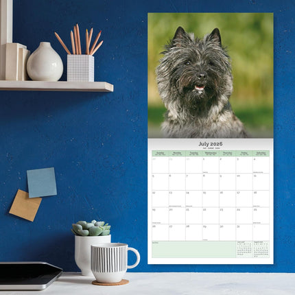 Baker & Bray Cairn Terrier Kalender 2026