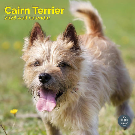Baker & Bray Cairn Terrier Kalender 2026