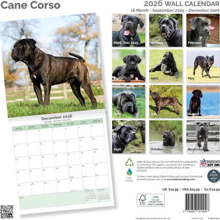 Baker & Bray Cane Corso Kalender 2026