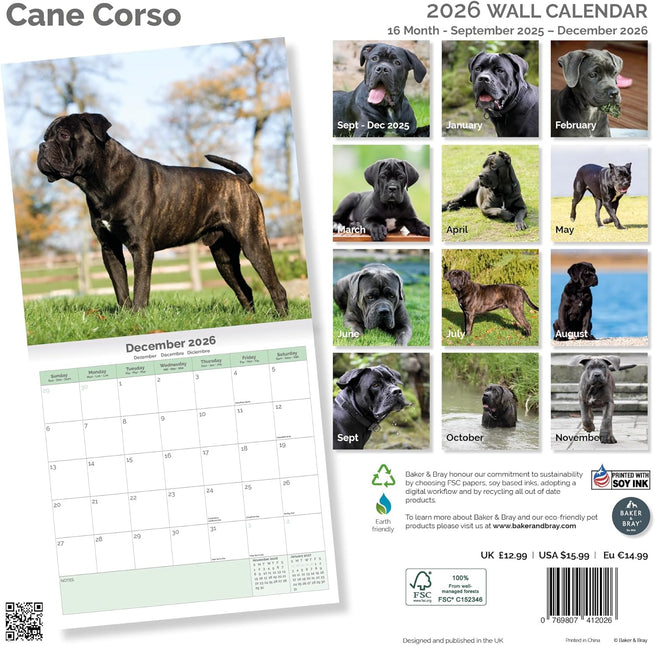 Baker & Bray Cane Corso Kalender 2026