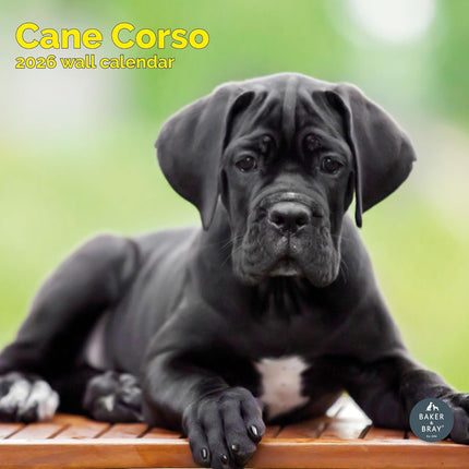 Baker & Bray Cane Corso Kalender 2026