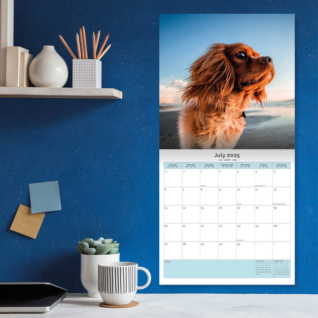 Baker & Bray Cavalier King Charles Spaniel Kalender 2025