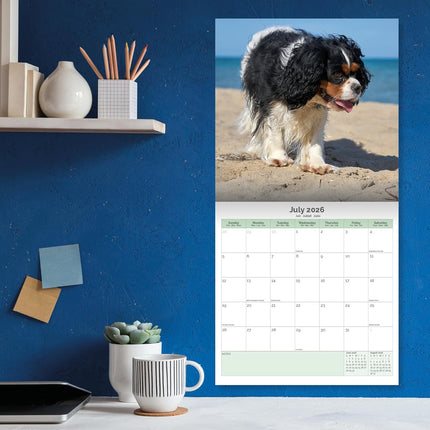 Baker & Bray Cavalier King Charles Spaniel Kalender 2026