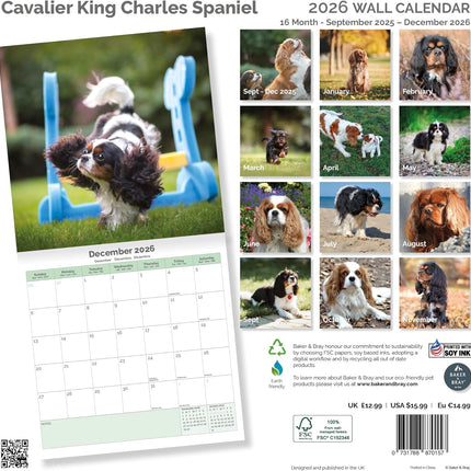 Baker & Bray Cavalier King Charles Spaniel Kalender 2026