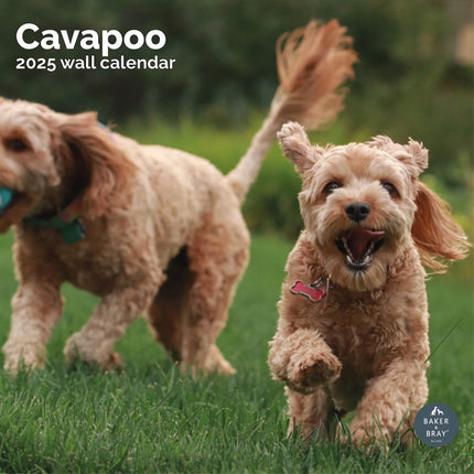 Baker & Bray Cavapoo Kalender 2025