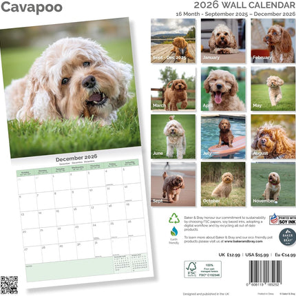 Baker & Bray Cavapoo Kalender 2026