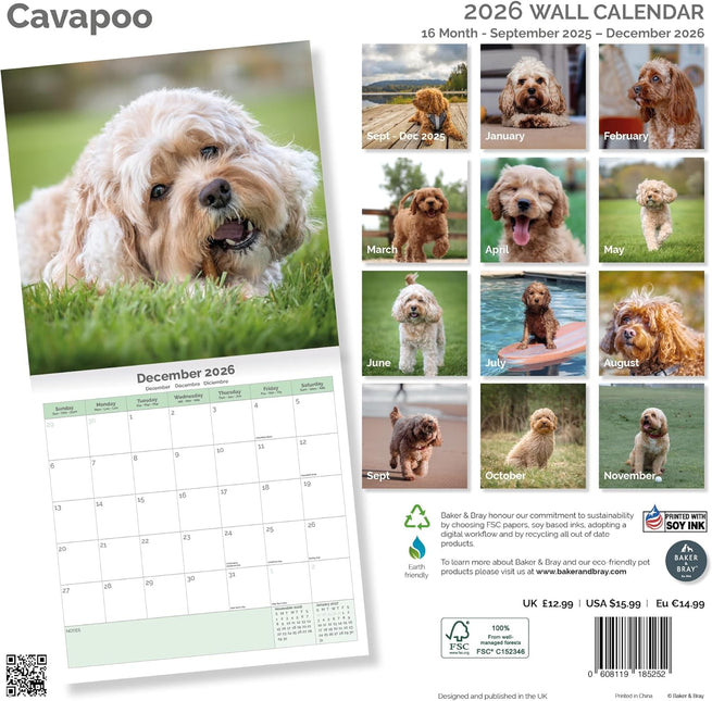 Baker & Bray Cavapoo Kalender 2026
