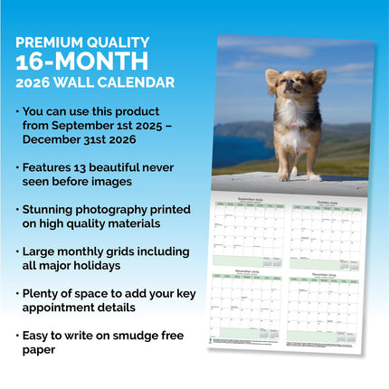 Baker & Bray Chihuahua Kalender 2026