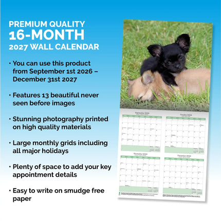 Baker & Bray Chihuahua Kalender 2027