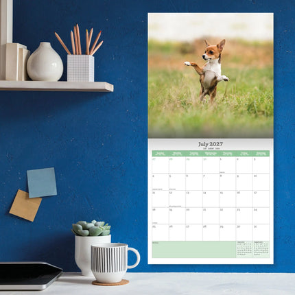 Baker & Bray Chihuahua Kalender 2027