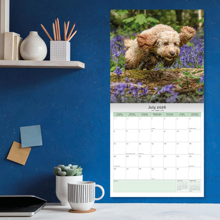 Baker & Bray Cockapoo Kalender 2026