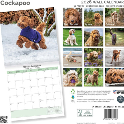 Baker & Bray Cockapoo Kalender 2026