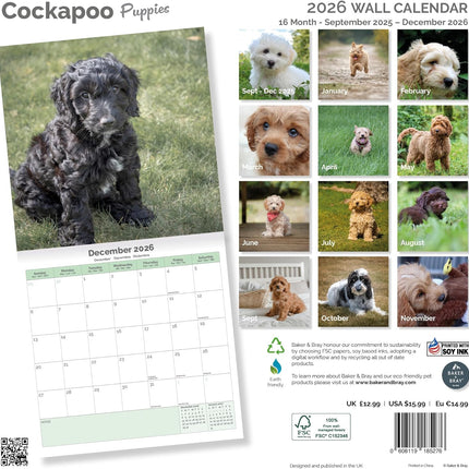 Baker & Bray Cockapoo Puppies Kalender 2026