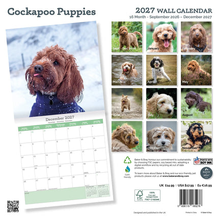 Baker & Bray Cockapoo Puppies Kalender 2027