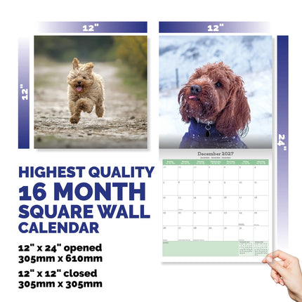 Baker & Bray Cockapoo Puppies Kalender 2027