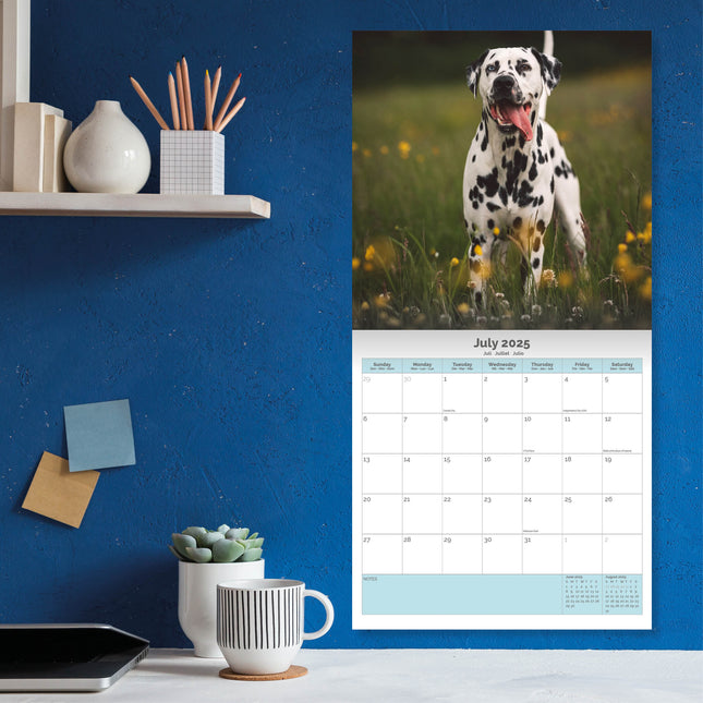 Baker & Bray Dalmatier Kalender 2025