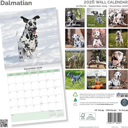 Baker & Bray Dalmatier Kalender 2026